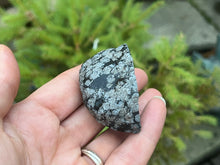 Load image into Gallery viewer, Snowflake obsidian