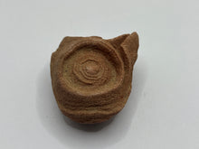 Load image into Gallery viewer, Sand stromatolites desert onion