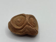 Load image into Gallery viewer, Sand stromatolites desert onion