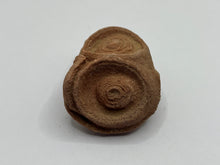 Load image into Gallery viewer, Sand stromatolites desert onion