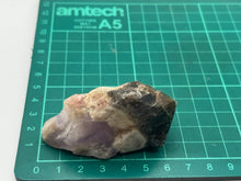 Load image into Gallery viewer, Root of transformation