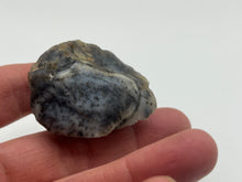 Load image into Gallery viewer, Merlinite dendritic opal