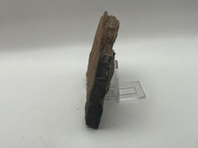 Load image into Gallery viewer, Trilobite trackways (cruziana)