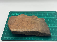 Load image into Gallery viewer, Trilobite trackways (cruziana)