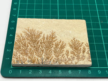 Load image into Gallery viewer, Dendrite