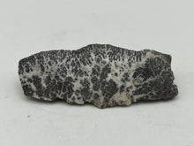 Load image into Gallery viewer, Dendrite