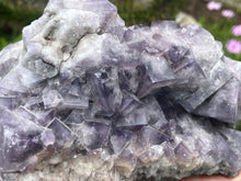 Load image into Gallery viewer, Fluorite