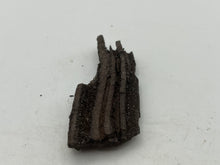 Load image into Gallery viewer, Druzy fossil wood