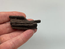 Load image into Gallery viewer, Druzy fossil wood