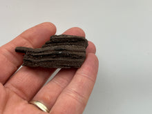Load image into Gallery viewer, Druzy fossil wood