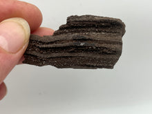 Load image into Gallery viewer, Druzy fossil wood
