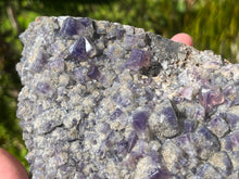 Load image into Gallery viewer, Fluorite