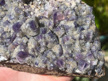 Load image into Gallery viewer, Fluorite