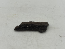 Load image into Gallery viewer, Drusy fossil wood