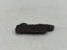Load image into Gallery viewer, Drusy fossil wood