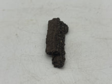 Load image into Gallery viewer, Drusy fossil wood