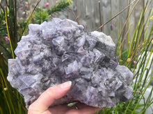 Load image into Gallery viewer, Fluorite