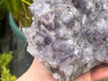 Load image into Gallery viewer, Fluorite