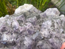 Load image into Gallery viewer, Fluorite
