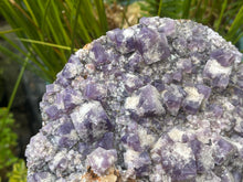 Load image into Gallery viewer, Fluorite