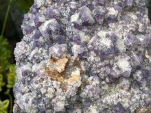 Load image into Gallery viewer, Fluorite