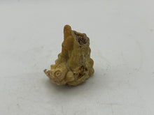 Load image into Gallery viewer, Bamboo agate