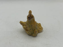 Load image into Gallery viewer, Bamboo agate