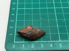 Load image into Gallery viewer, Lepidotes fish scale