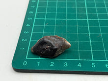 Load image into Gallery viewer, Lepidotes fish scale