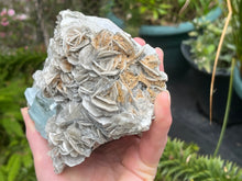 Load image into Gallery viewer, Muscovite mica with aquamarine