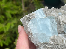 Load image into Gallery viewer, Muscovite mica with aquamarine