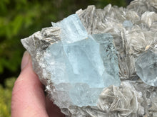 Load image into Gallery viewer, Muscovite mica with aquamarine