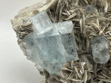 Load image into Gallery viewer, Muscovite mica with aquamarine