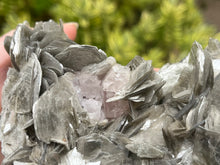 Load image into Gallery viewer, Muscovite mica and beryl