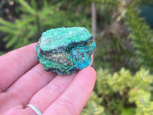 Load image into Gallery viewer, Conichalcite and Chrysocolla
