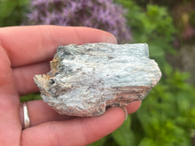 Load image into Gallery viewer, Actinolite