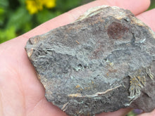 Load image into Gallery viewer, Olivenite