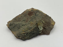 Load image into Gallery viewer, Olivenite