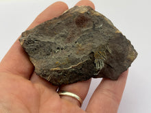 Load image into Gallery viewer, Olivenite