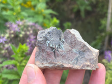 Load image into Gallery viewer, Olivenite
