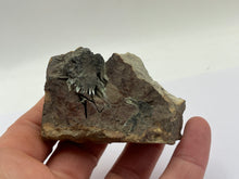 Load image into Gallery viewer, Olivenite