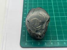Load image into Gallery viewer, Conifer fossil wood