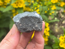 Load image into Gallery viewer, Kimberlite