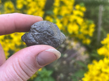 Load image into Gallery viewer, Moqui marbles (shaman stone)