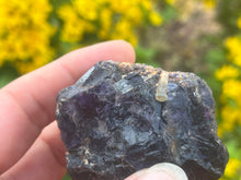 Load image into Gallery viewer, Apatite in fluorite