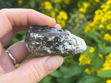 Load image into Gallery viewer, Dravite brown tourmaline