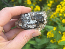 Load image into Gallery viewer, Dravite brown tourmaline