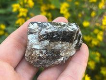 Load image into Gallery viewer, Dravite brown tourmaline