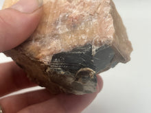 Load image into Gallery viewer, Phlogopite mica in orange calcite