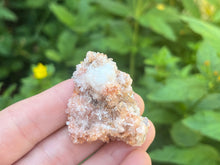 Load image into Gallery viewer, Creedite